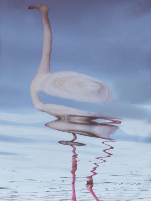 Untitled (2024)
