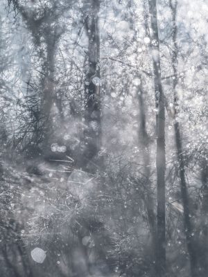 Untitled (2020)